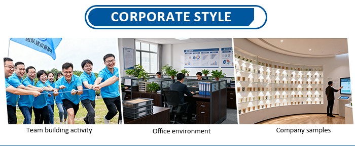 Corporate Style