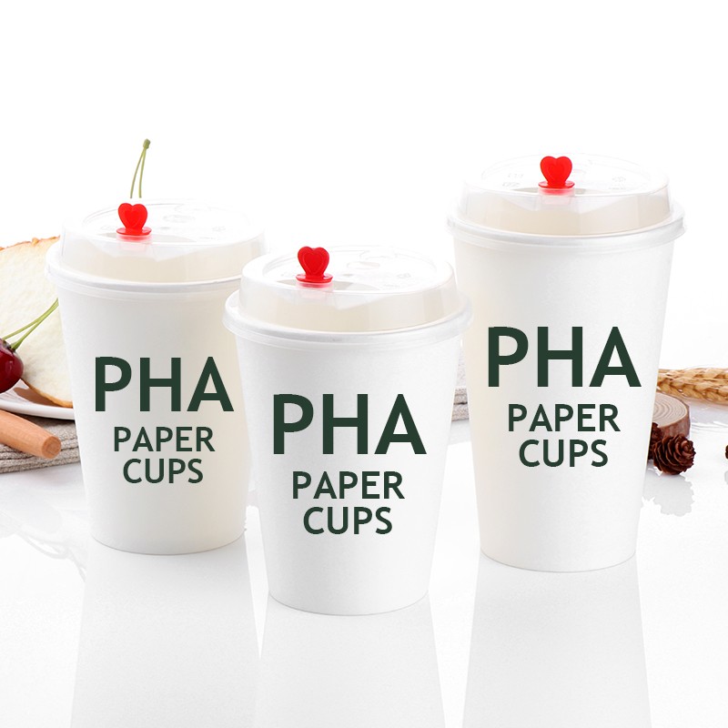 Customized Double Wall Paper Cup Waterproof PLA Coffee Cup for Hot Drinks