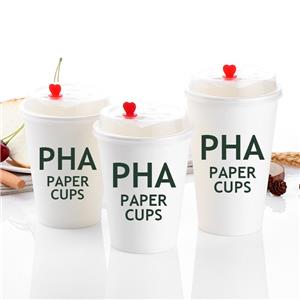 Customized Double Wall Paper Cup Waterproof PLA Coffee Cup for Hot Drinks
