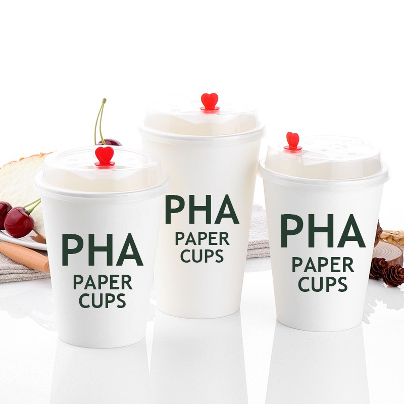 Customized Double Wall Paper Cup Waterproof PLA Coffee Cup for Hot Drinks