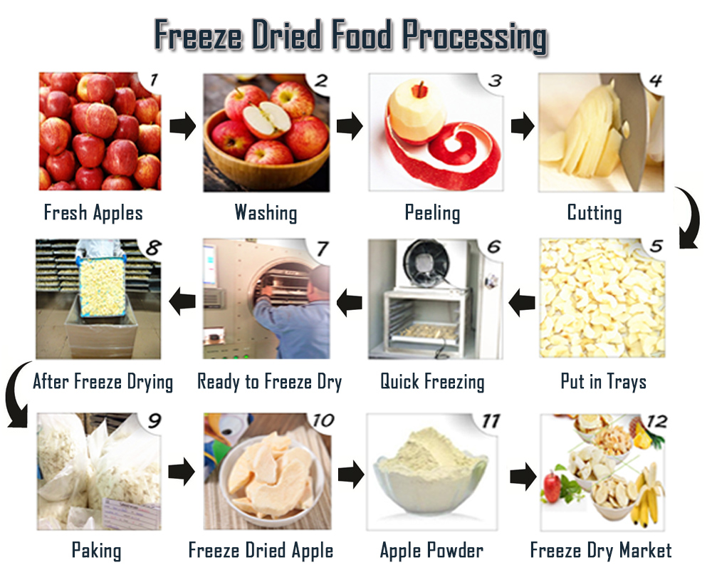 How to freeze dry food by lyophilizer? Freeze drying process