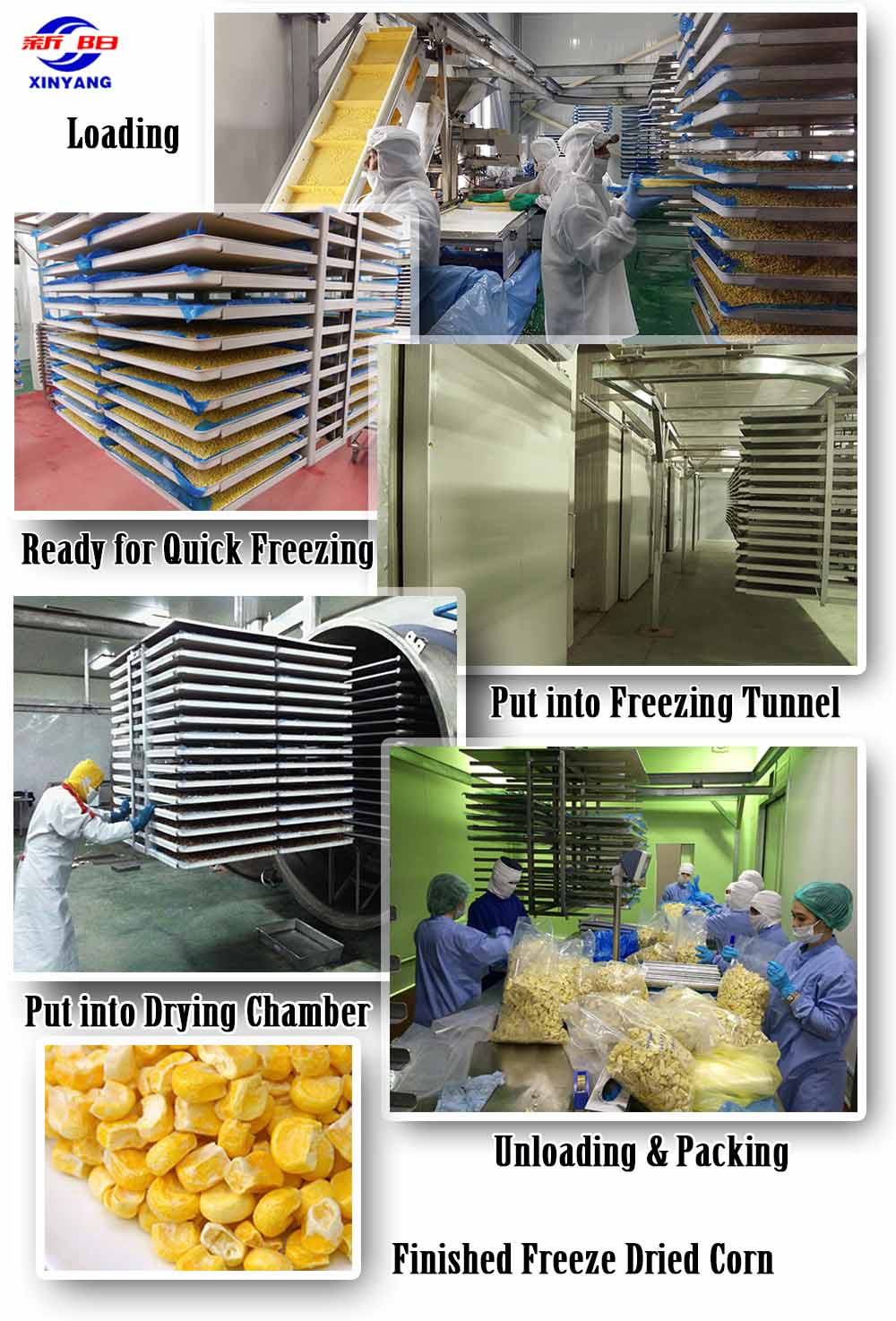 20m2-200kg-Large-Industrial-Freeze-Dryer-Machine - large food