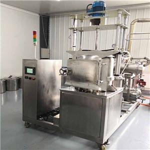 Lab scale vacuum fryer for snacks VF10TS