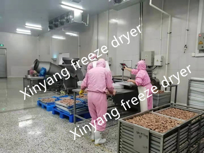 freeze dryer