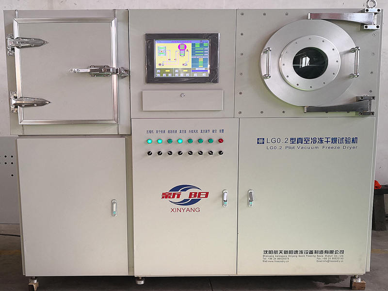 Laboratory Lyophilizer Dryer Freeze Drying Machine Fruit Vegetable