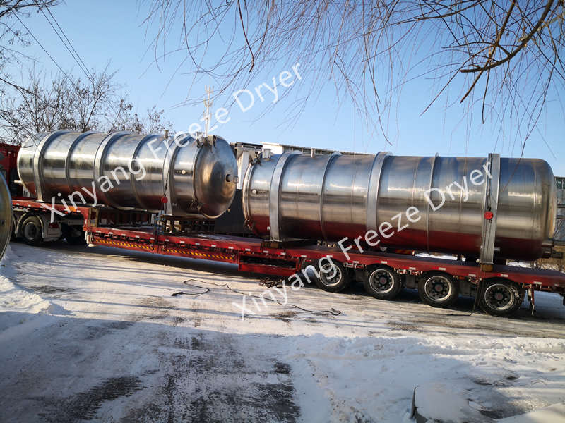 Large freeze dryer