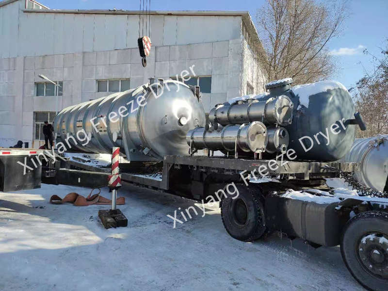 vacuum freeze dryer