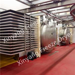 Large vacuum freeze drying plant for all berries production in the USA