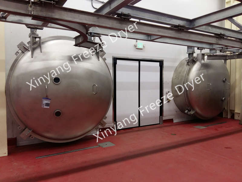 Raspberry Vacuum Freeze Dryer/Berry Freeze Drying Machine Factory and  Suppliers China - Customized Products Wholesale - Scientz