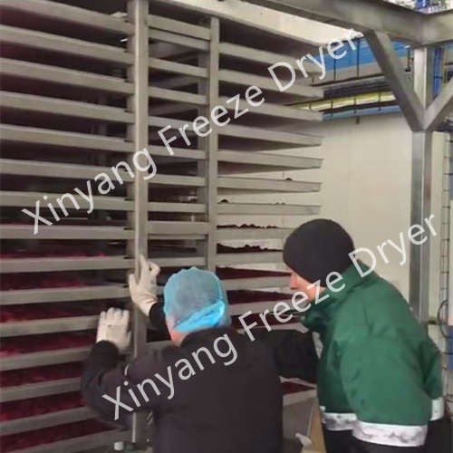 Industrial commercial vacuum freeze dryer with 5000 kg capacity