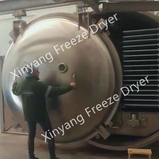 Industrial commercial vacuum freeze dryer with 5000 kg capacity