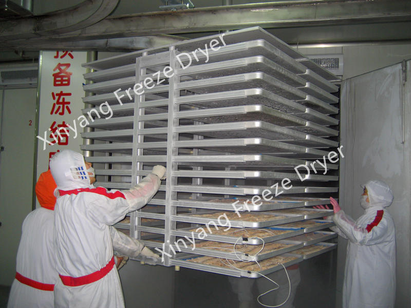 commercial vacuum freeze dryer