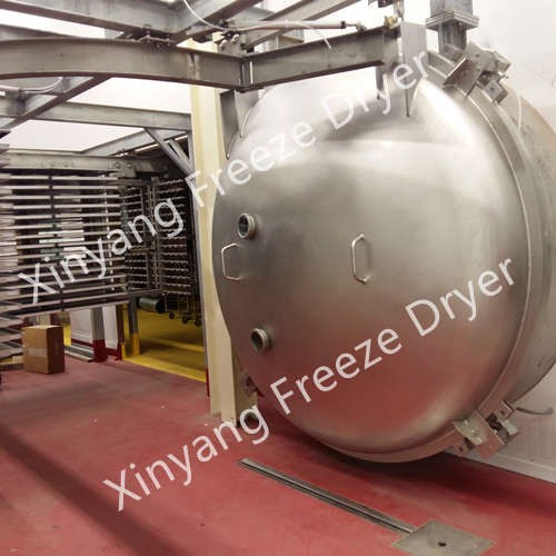 Large Freeze Dryer with 1500kg Capacity Manufacturers, Large Freeze Dryer with 1500kg Capacity Factory, Supply Large Freeze Dryer with 1500kg Capacity