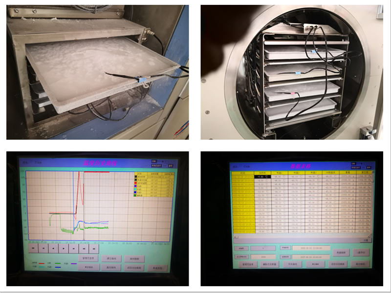 Pilot freeze dryer