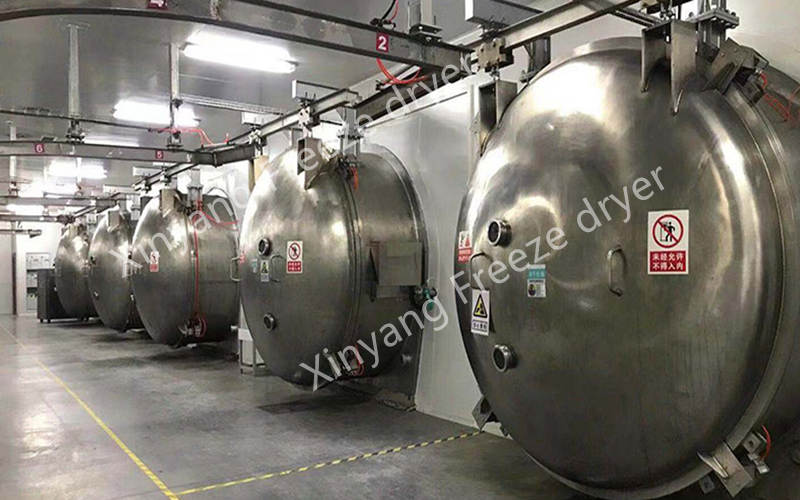 freeze drying machine