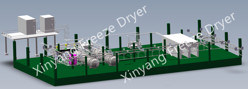 freeze drying equipment