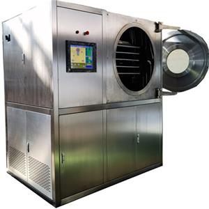 Pilot Freeze Dryer with 20kg Capacity