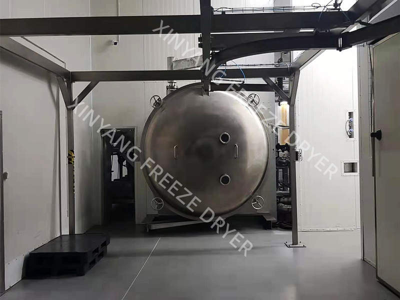 freeze drying equipment