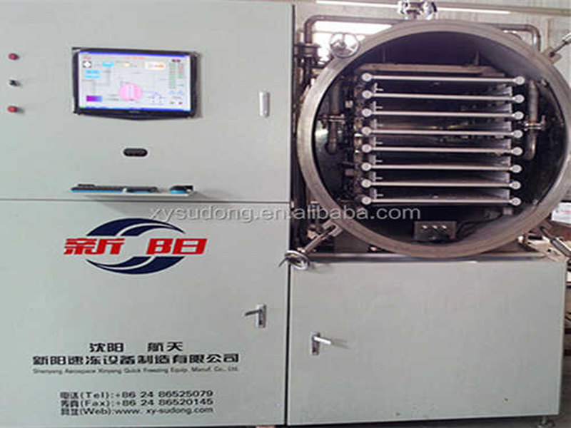 freeze drying machine