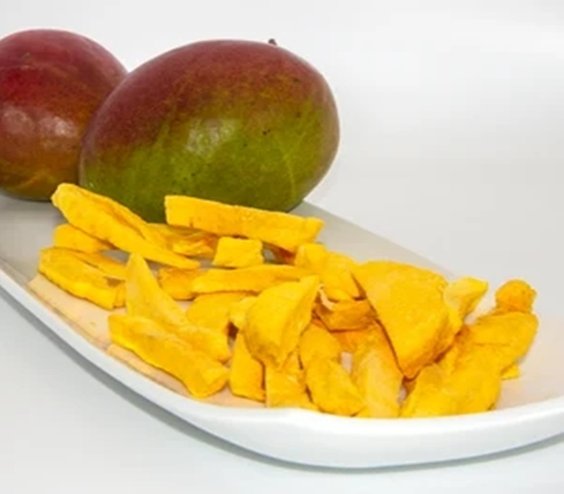 freeze dryer for mango