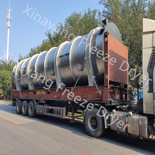 Two sets of LG200 freeze-drying equipment for processing pet food of Tianjin Ravona