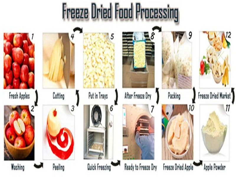 freeze drying equipment