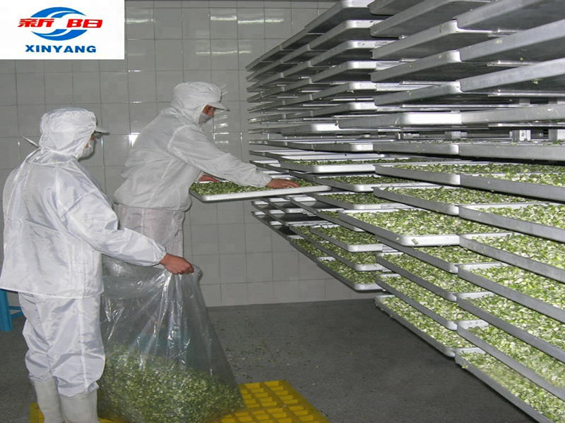 freeze drying equipment