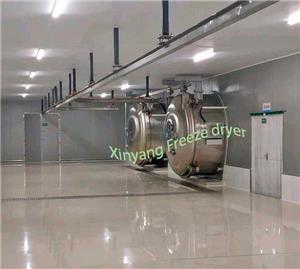 A new project of fruit freeze drying plant with 2xLG200 freeze dryer in Shandong