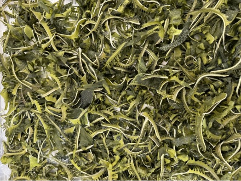 freeze-dried wakame