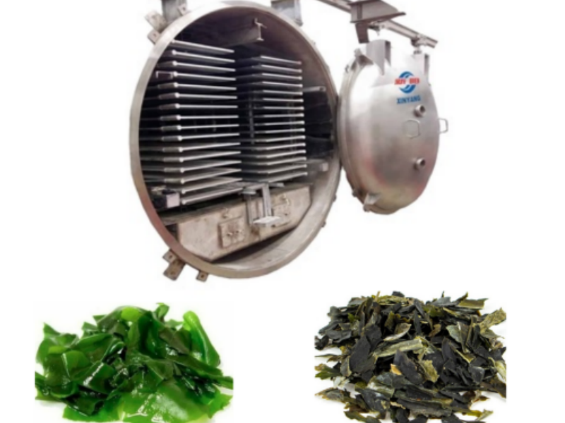 freeze-drying process