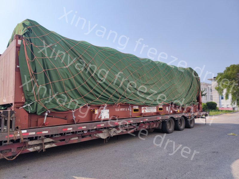freeze drying equipment