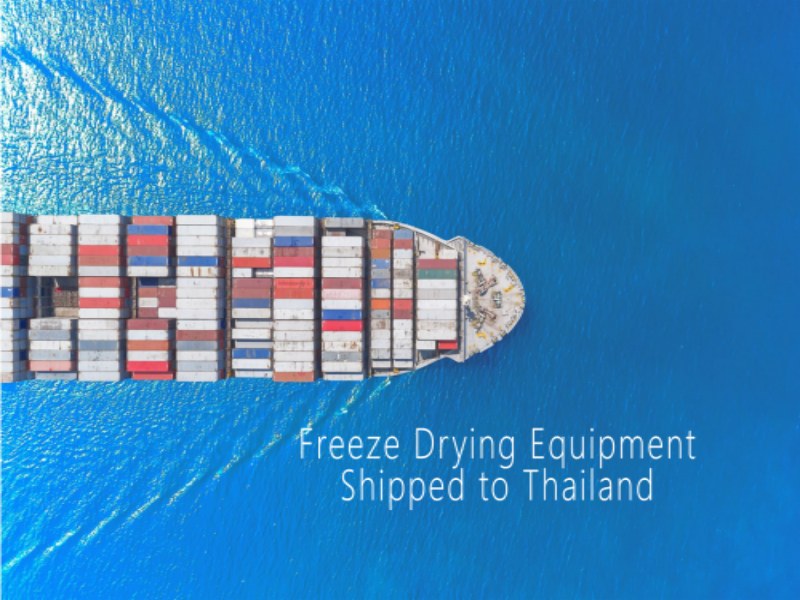 freeze drying machine