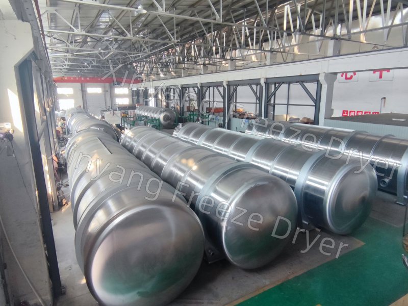 freeze-drying