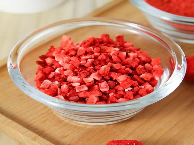 freeze-drying equipment
