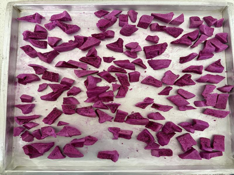 freeze-dried market