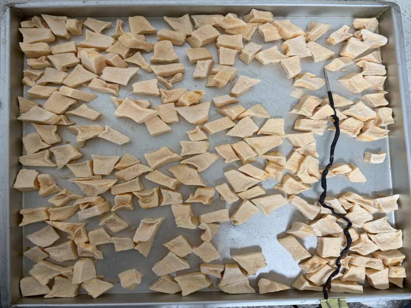 Freeze-drying technology