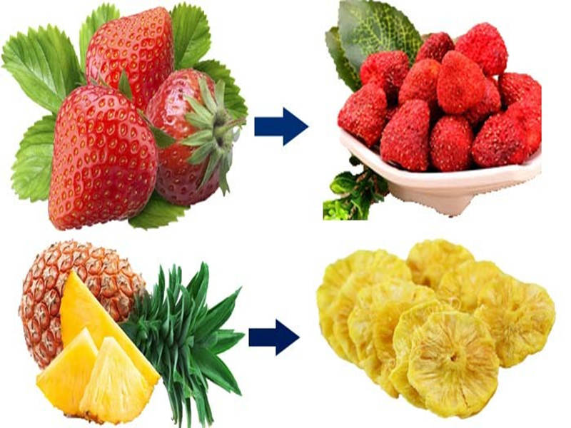 freeze-drying equipment