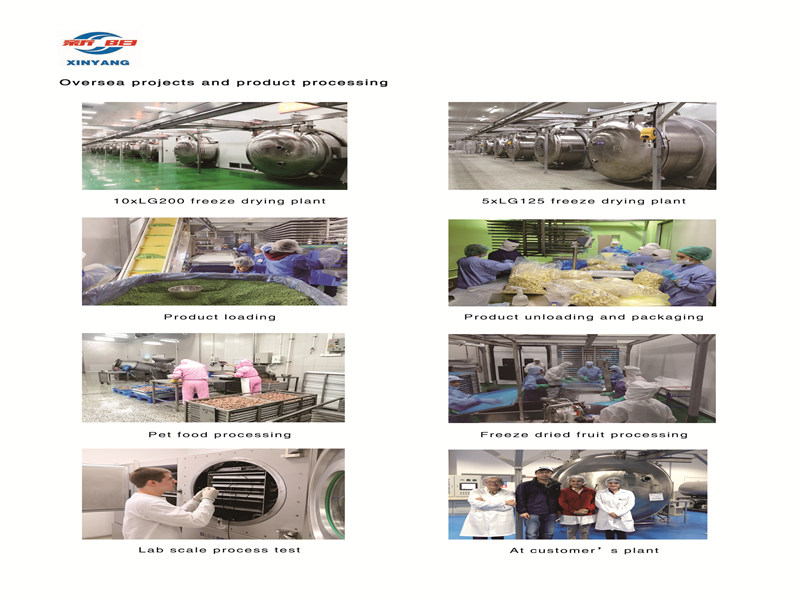 freeze-drying equipment