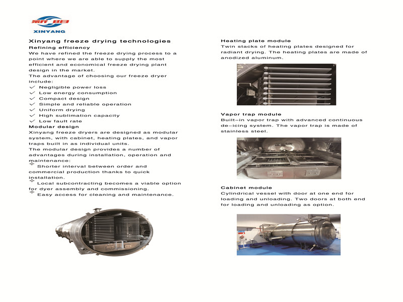 freeze-drying technology