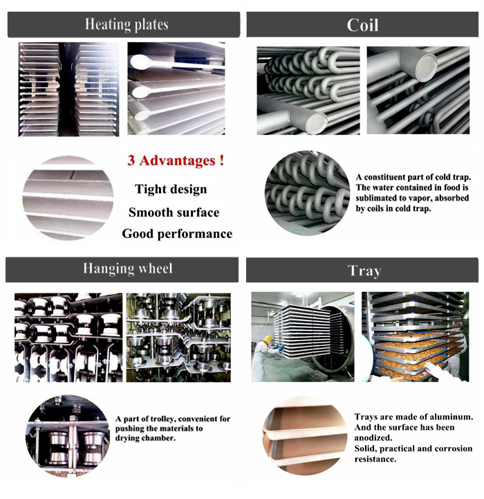 freeze-drying technology