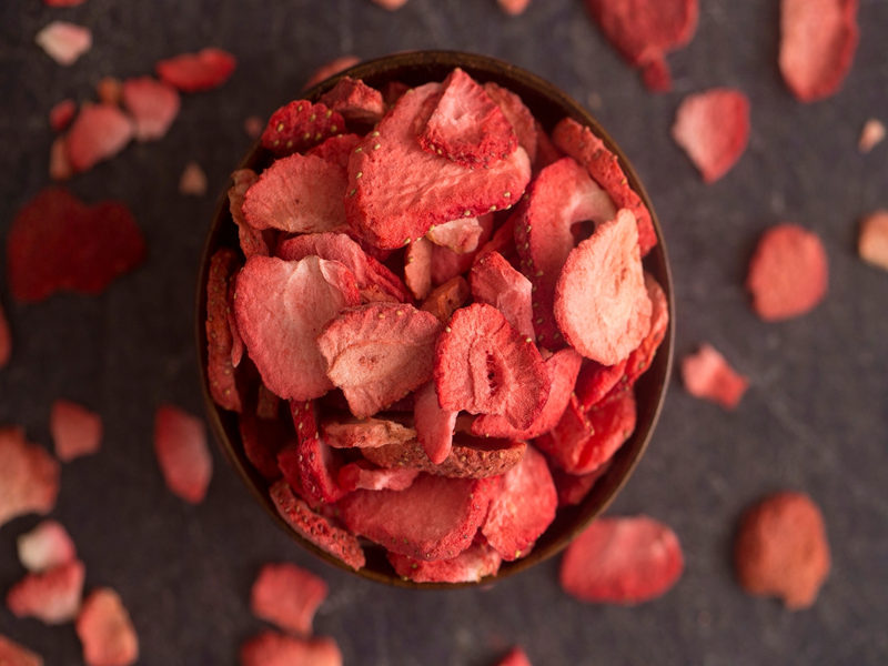 freeze-drying machine