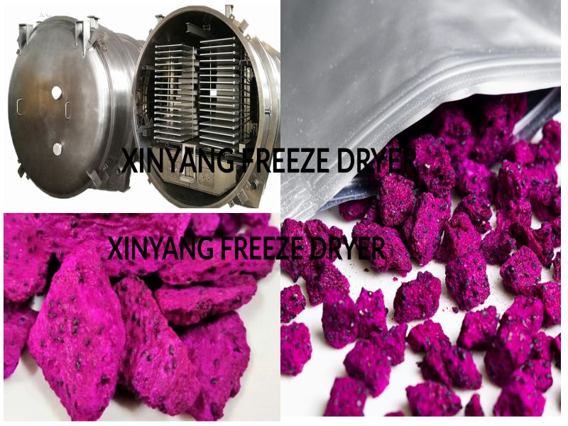 vacuum freeze-drying vacuum freeze-drying