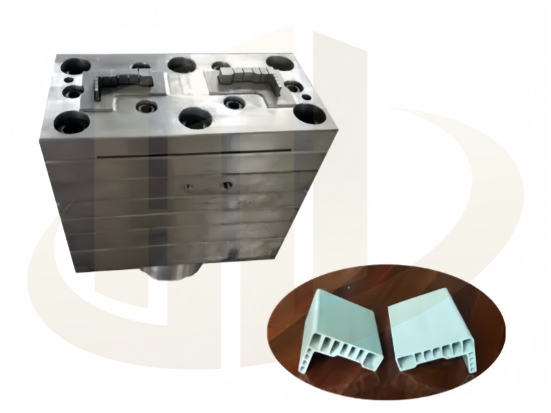 Moulds / Molds