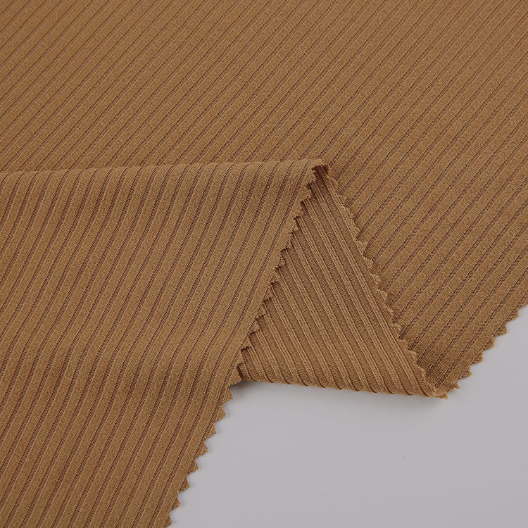 dty RIB FABRIC TWO SIDE BRUSHED