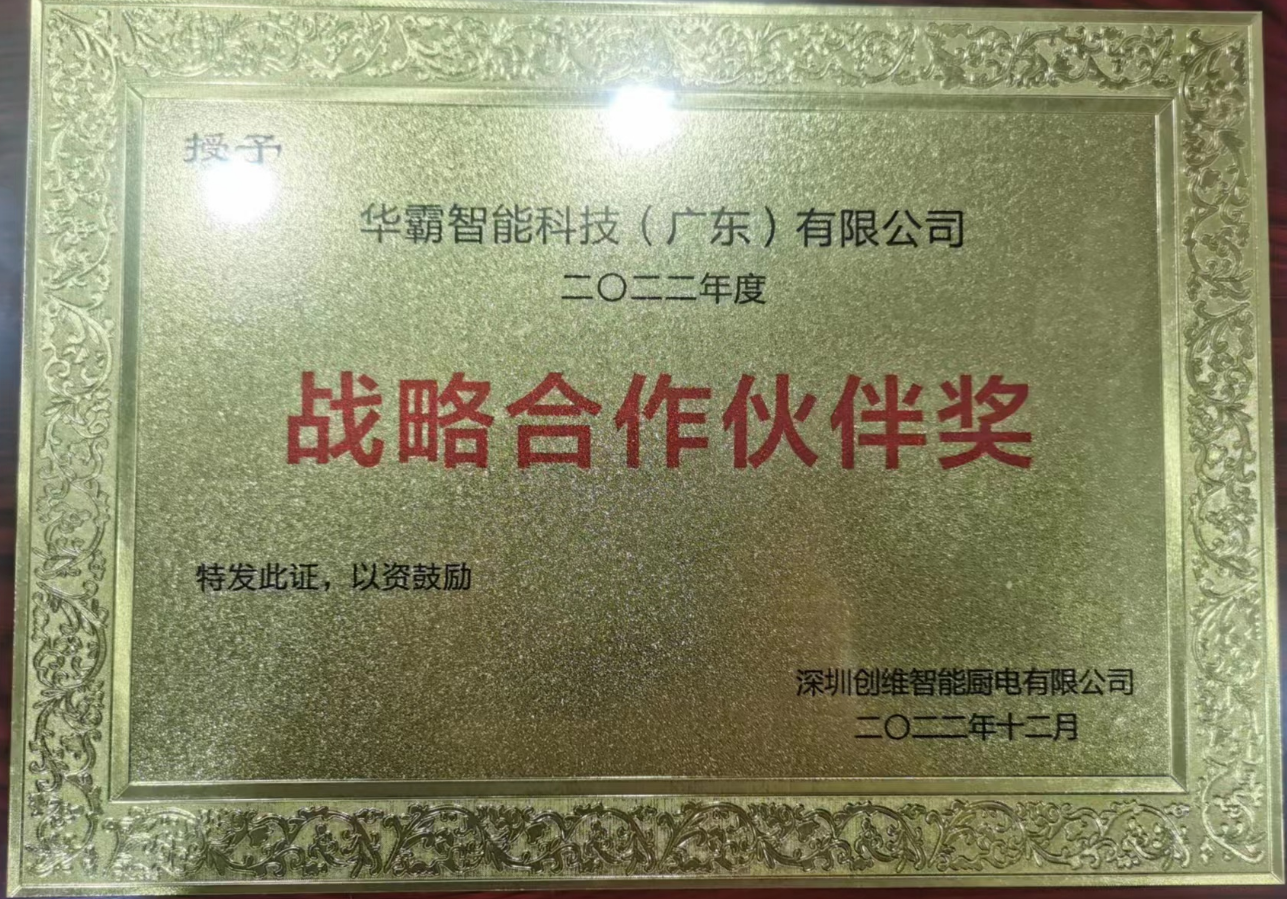 Strategic Partner Award