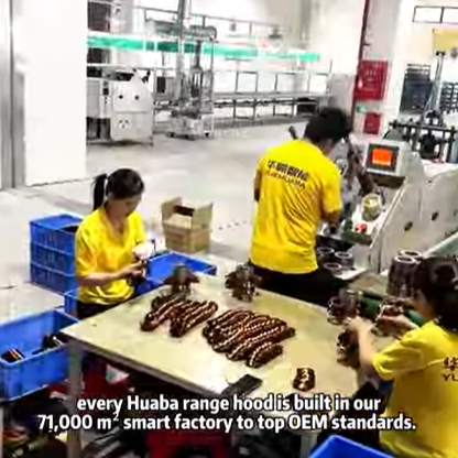 Smart Factory Focus – OEM Standards You Can Trust