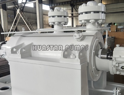Tandem Rotor BB5 Pumps