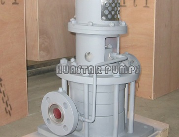 multistage high pressure inline pumps