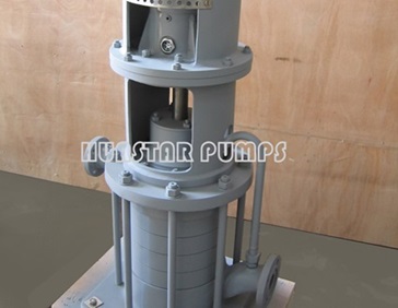 Vertical Multi-stage OH4 Pumps