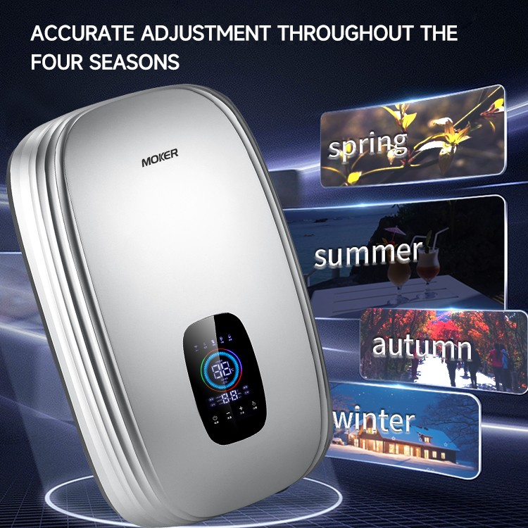 whole house water heater